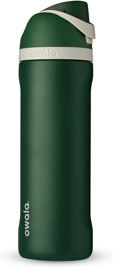 Owala Princess FreeSip Stainless Steel Water Bottle 24 oz Cinderella