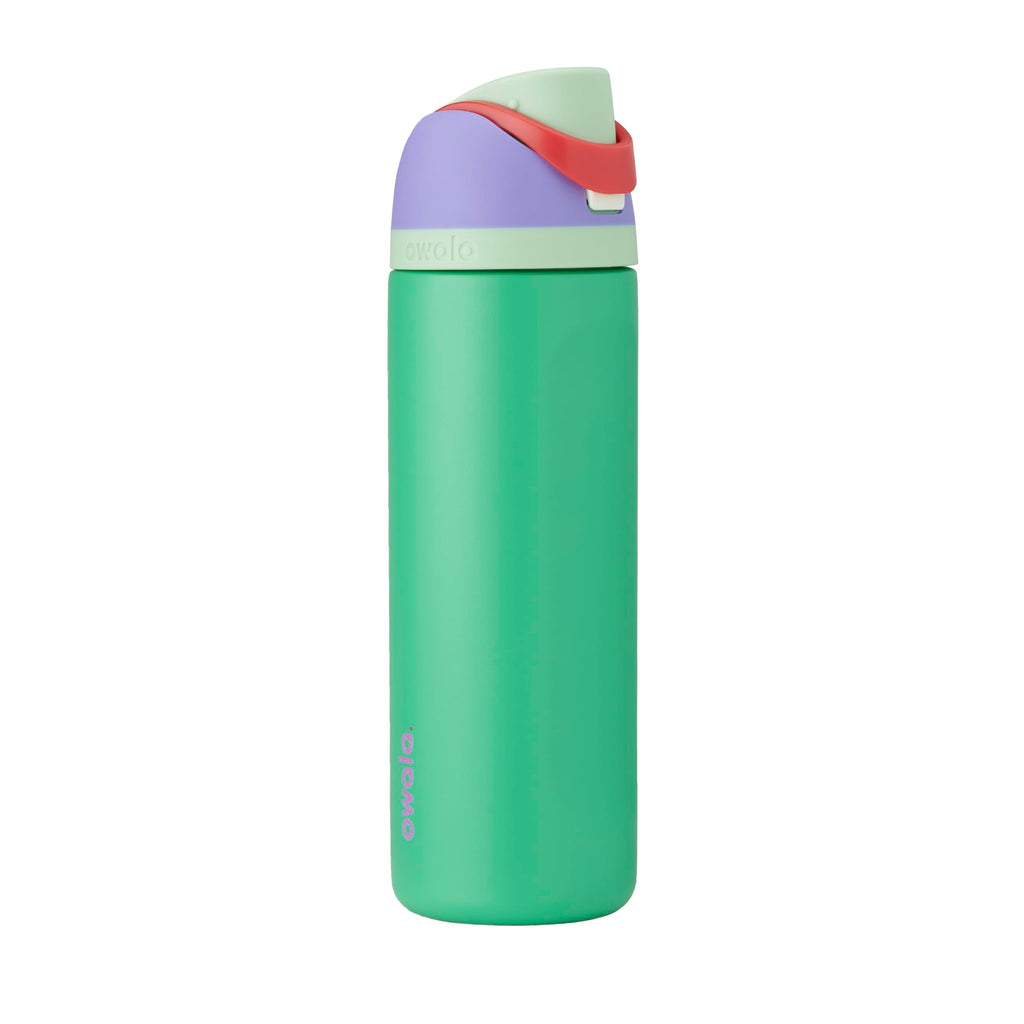 Owala Princess FreeSip Stainless Steel Water Bottle 24 oz Cinderella