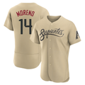 MATTH A.Diamondbacks #14 Gabriel Moreno Player Gold City Connect Stitched Jerseys