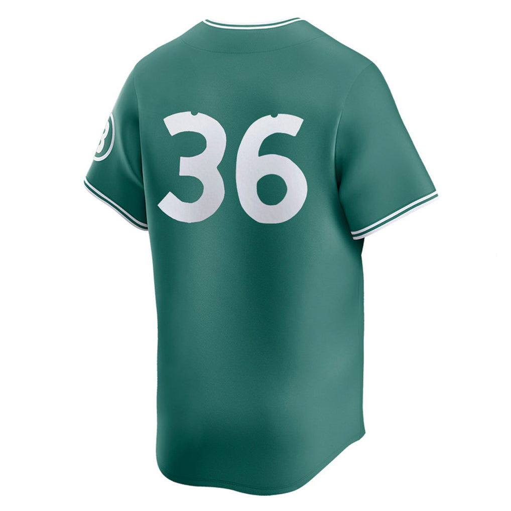MATTH B.Red Sox #36 Triston Casas Player Green City Connect Limited Home Game Stitched Jerseys