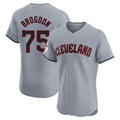 MATTH C.Guardians #75 Connor Brogdon Player Gray Road Limited Elite Home Stitched Jerseys
