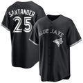 MATTH T.Blue Jays #25 Anthony Santander Player Black City Connect Limited Stitched Jerseys