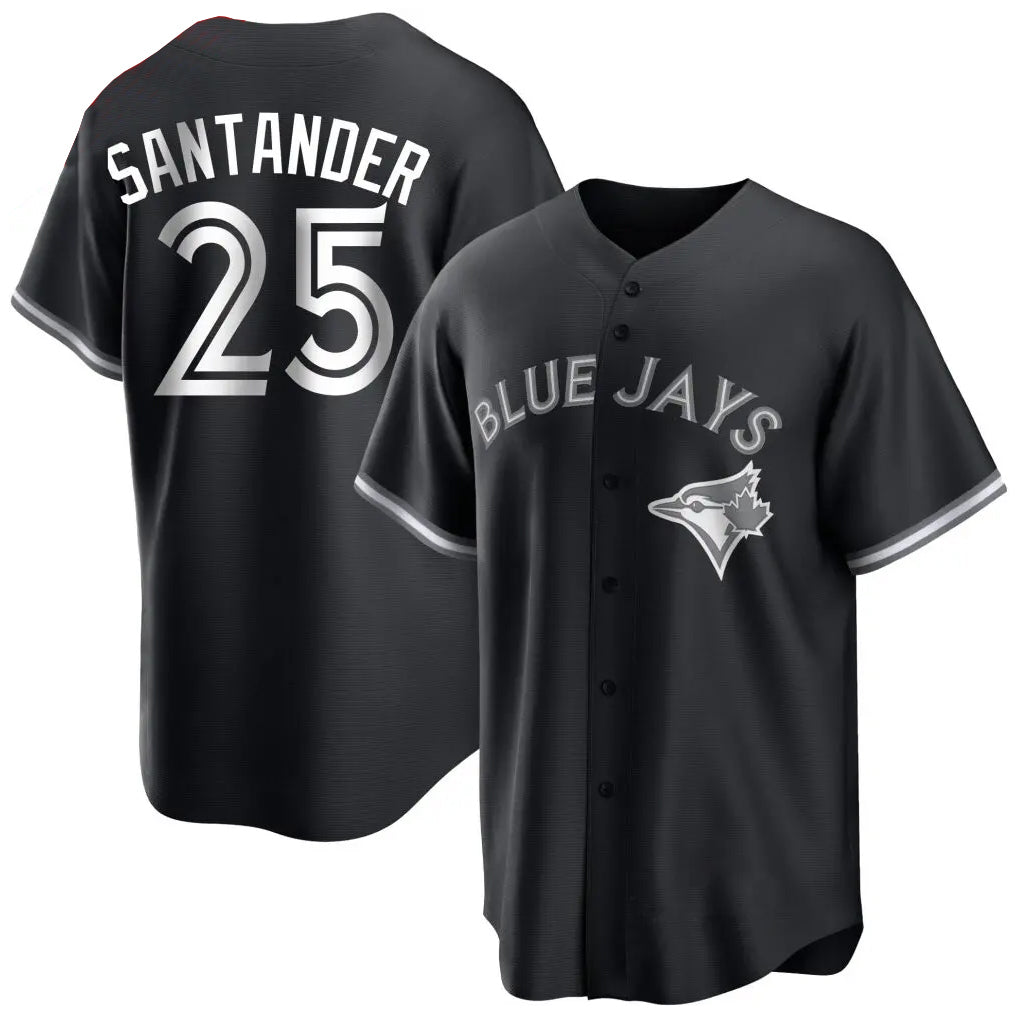 MATTH T.Blue Jays #25 Anthony Santander Player Black City Connect Limited Stitched Jerseys
