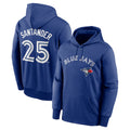 MATTH T.Blue Jays #25 Anthony Santander Player Royal Performance Pullover Hoodie